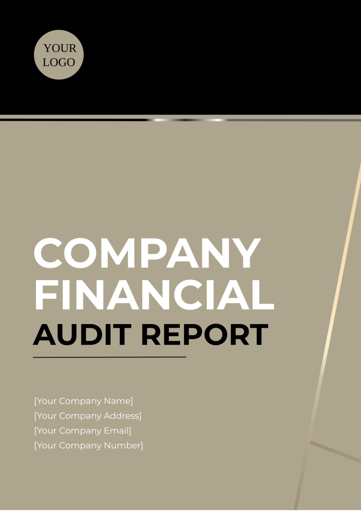 Company Financial Audit Report Template - Edit Online & Download