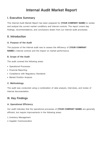 Free Internal Audit Market Report Template to Edit Online
