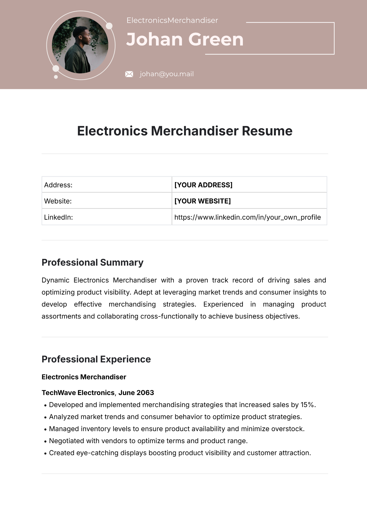 Electronics Merchandiser Resume Template - Edit Online & Download