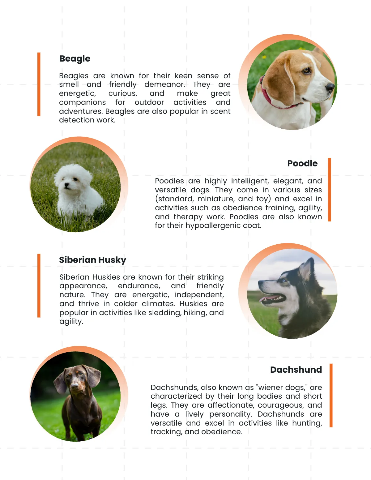 Free Dog Magazine Template to Edit Online