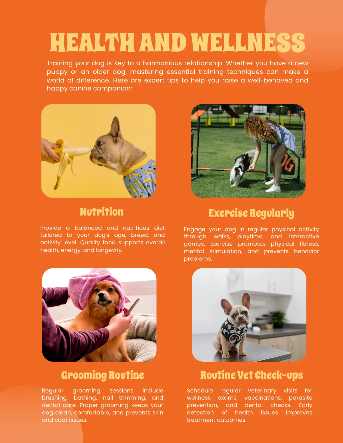 Free Dog Magazine Template to Edit Online