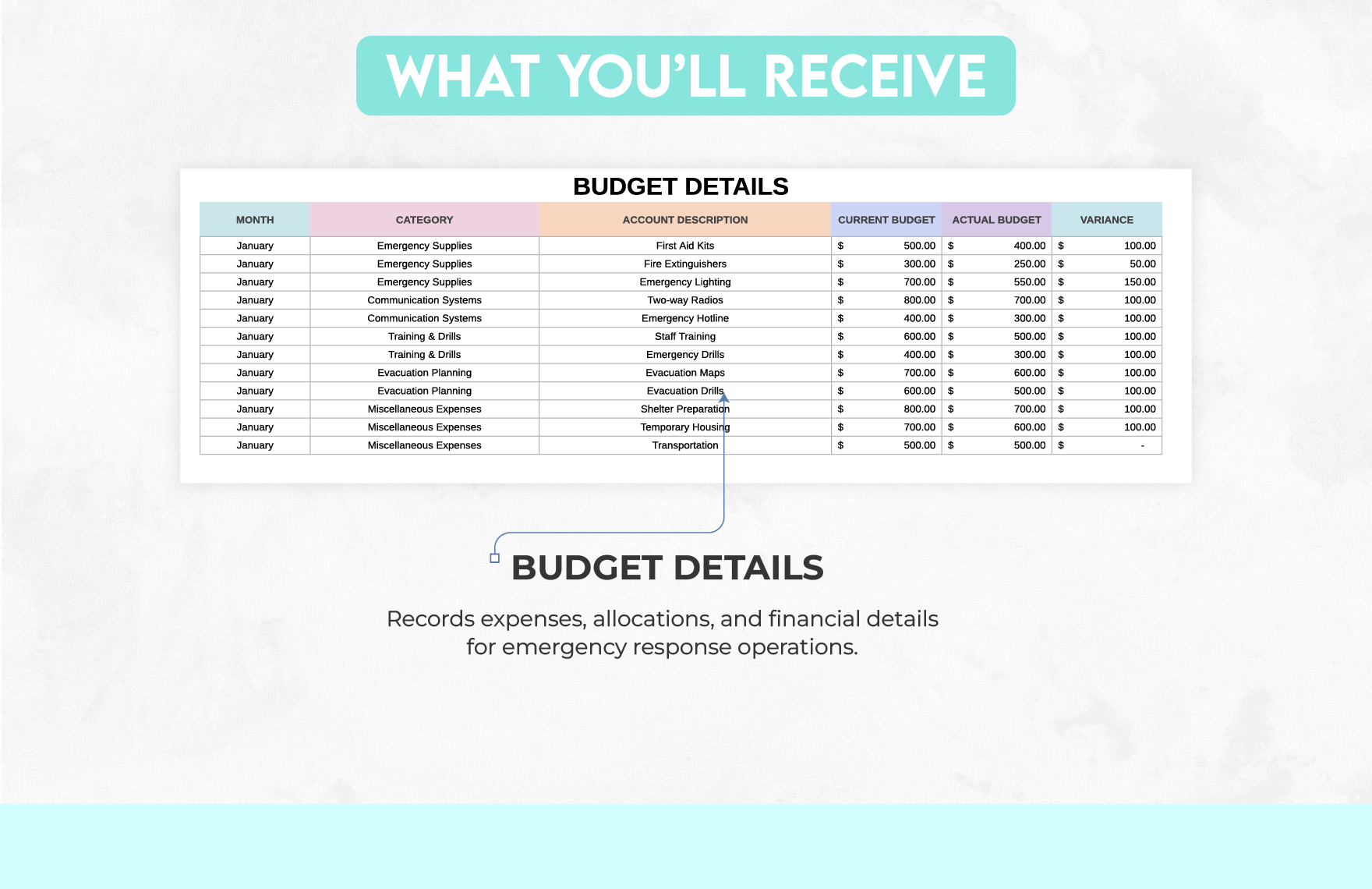 Emergency Response Budget Tracker Template