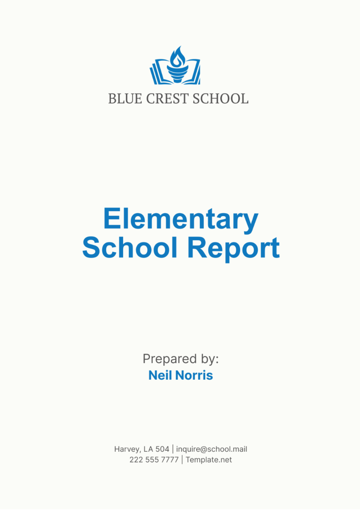 Elementary School Report Template