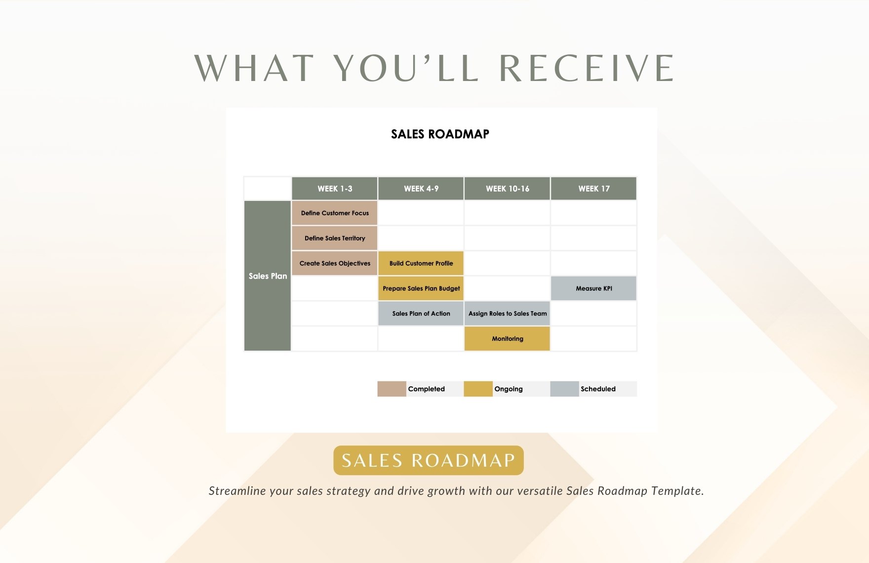 Sales Roadmap Template