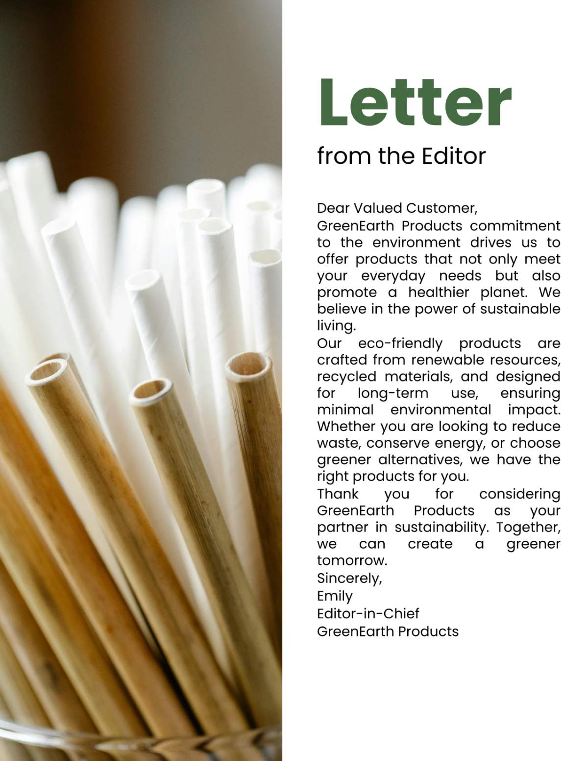 Free Eco Friendly Products Catalog Template to Edit Online