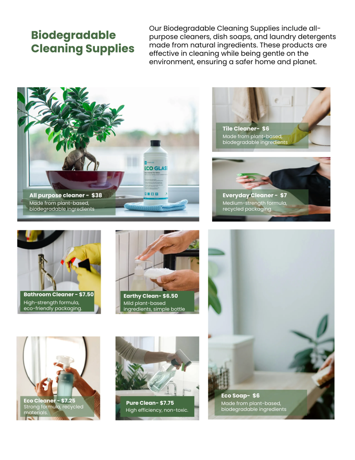 Free Eco Friendly Products Catalog Template to Edit Online