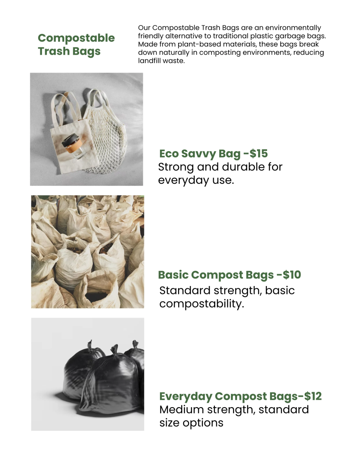 Free Eco Friendly Products Catalog Template to Edit Online