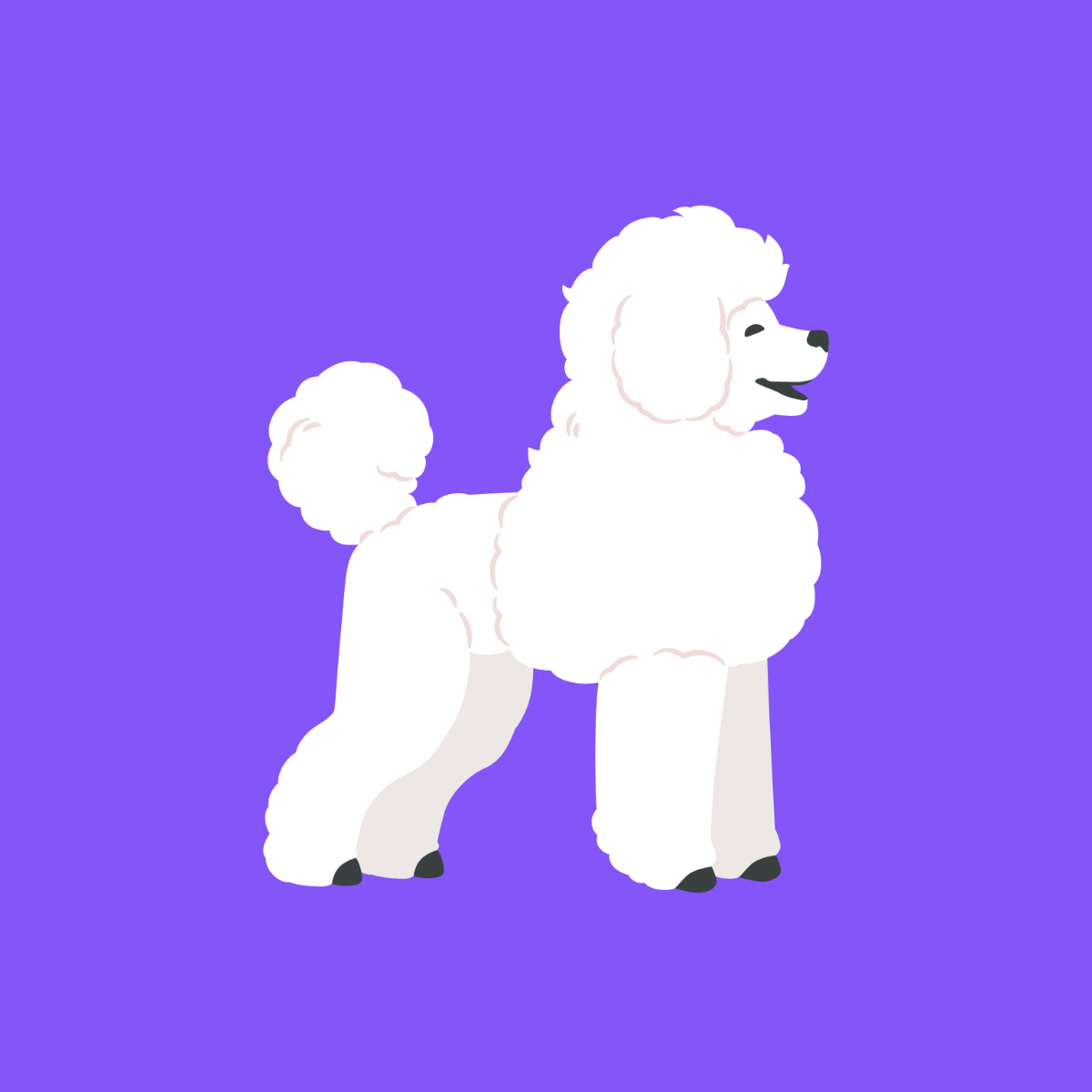 Free Poodle Dog Template To Edit Online Free Poodle Dog Template To Edit Online