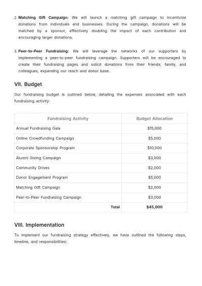 Free School Fundraising Strategy Template to Edit Online