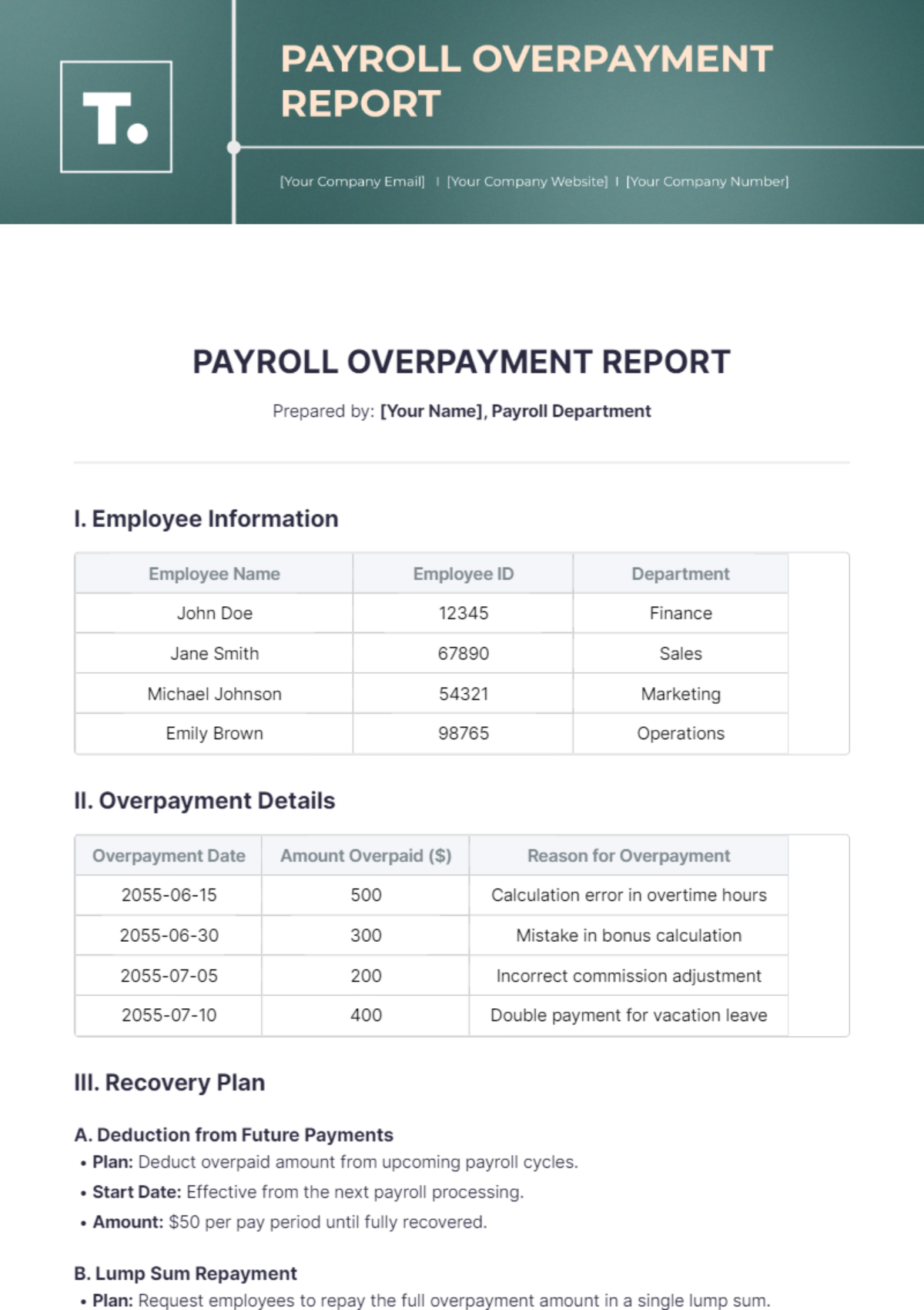 Payroll Overpayment Report Template - Edit Online & Download