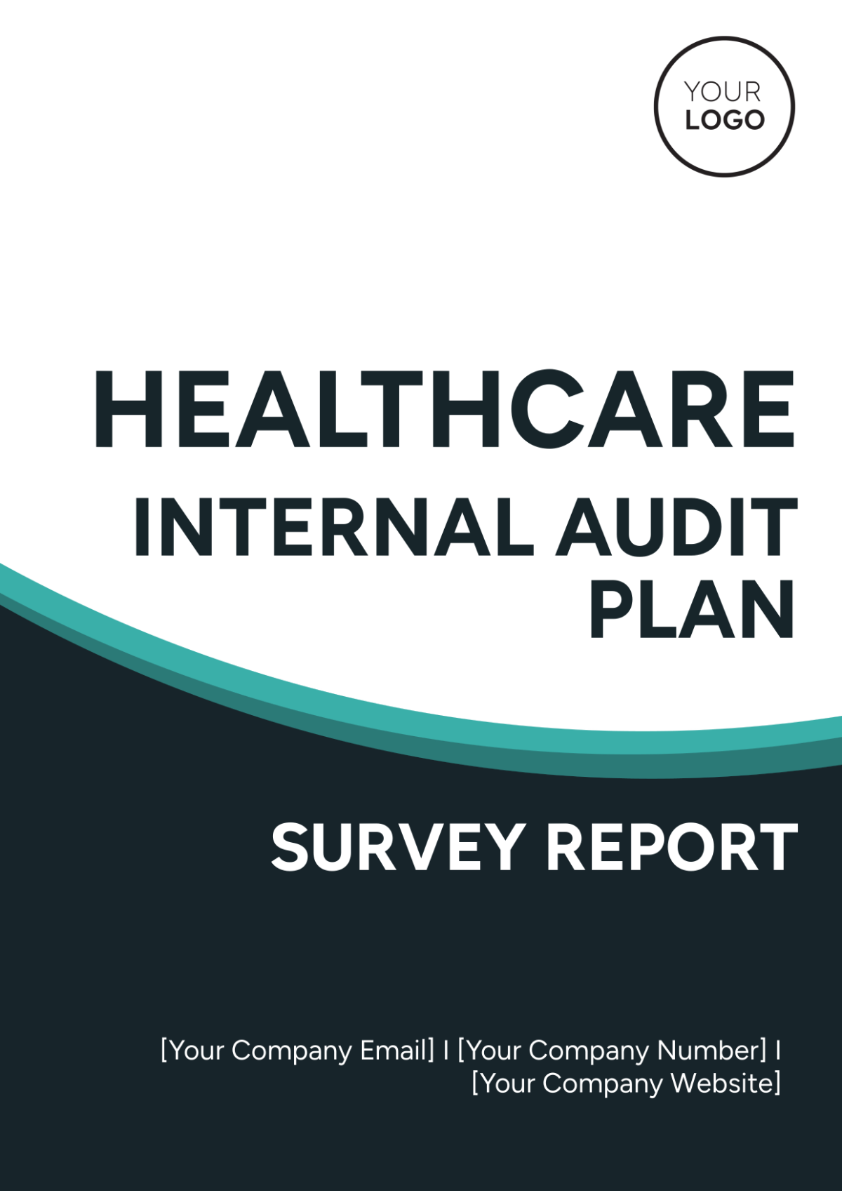 Healthcare Internal Audit Plan Survey Report Template - Edit Online & Download