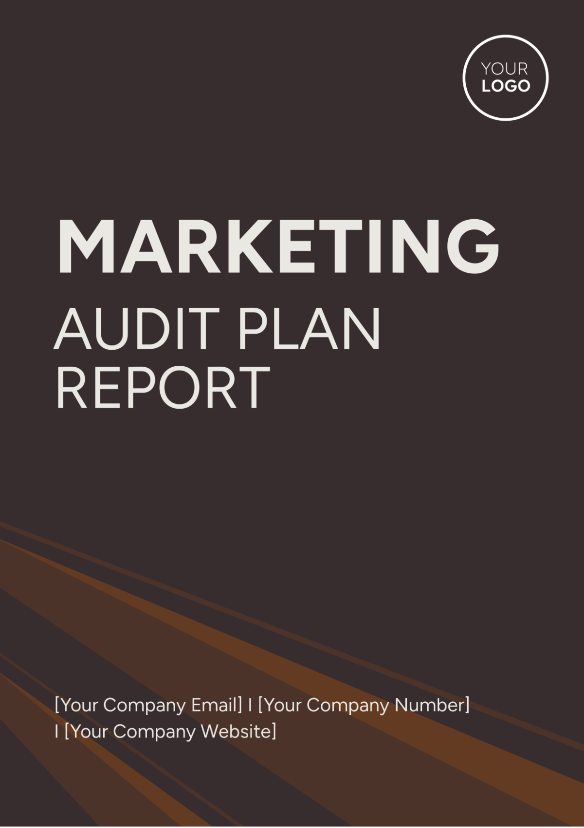 Marketing Audit Plan Report Template - Edit Online & Download