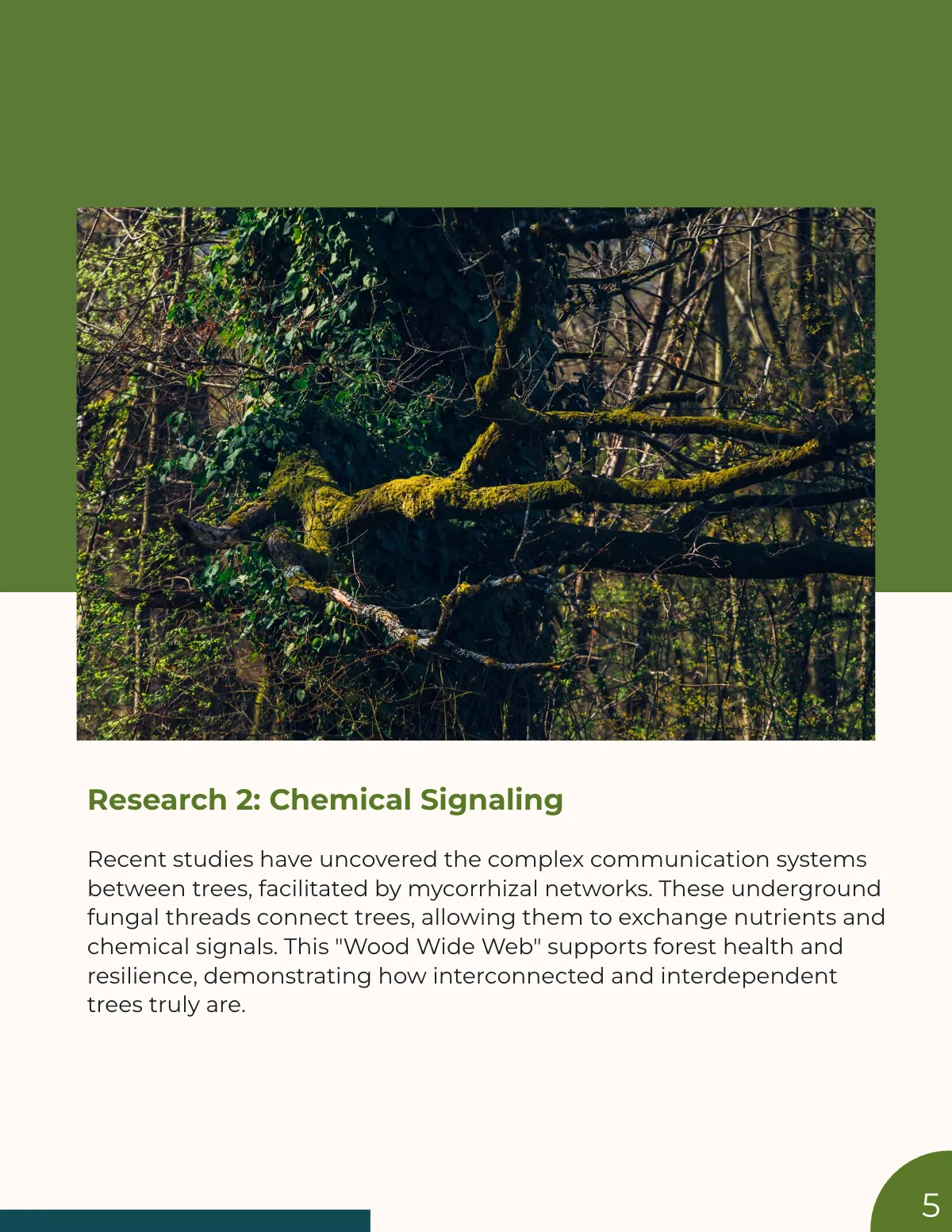 Free Research Magazine Template to Edit Online