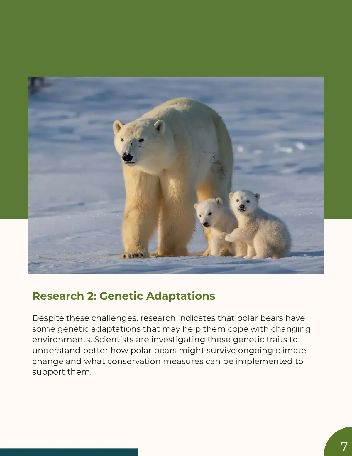 Free Research Magazine Template to Edit Online