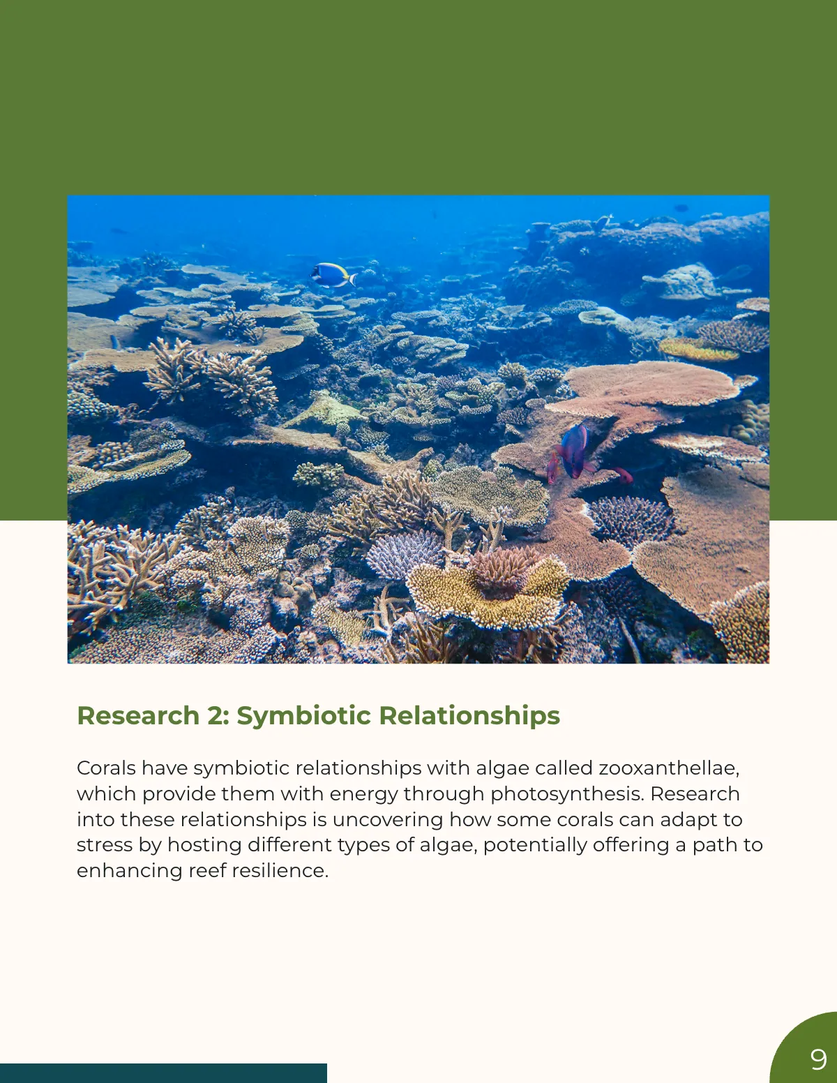 Free Research Magazine Template to Edit Online