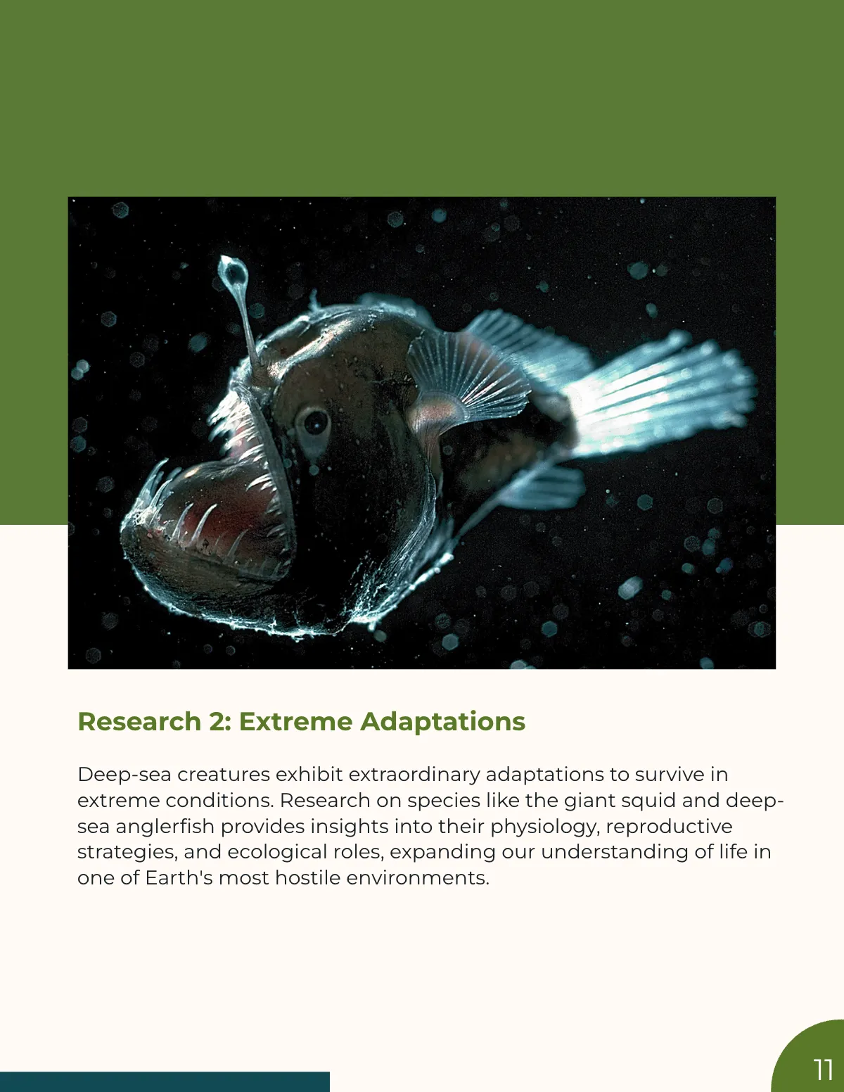 Free Research Magazine Template to Edit Online