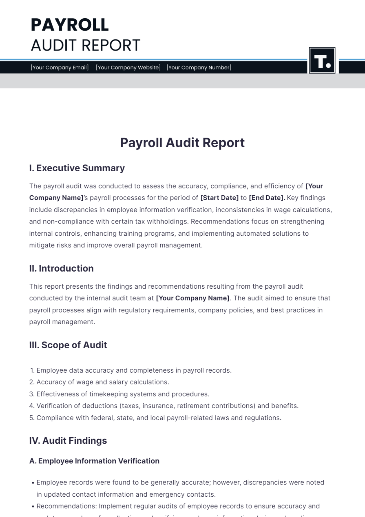 Payroll Audit Report Template - Edit Online & Download