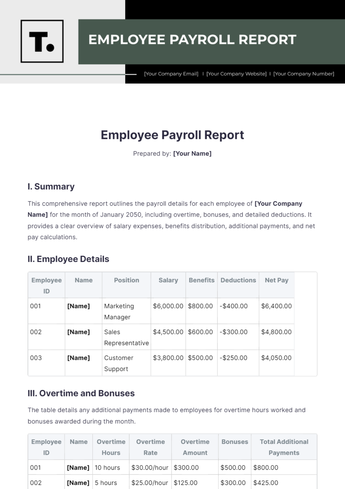 Employee Payroll Report Template - Edit Online & Download