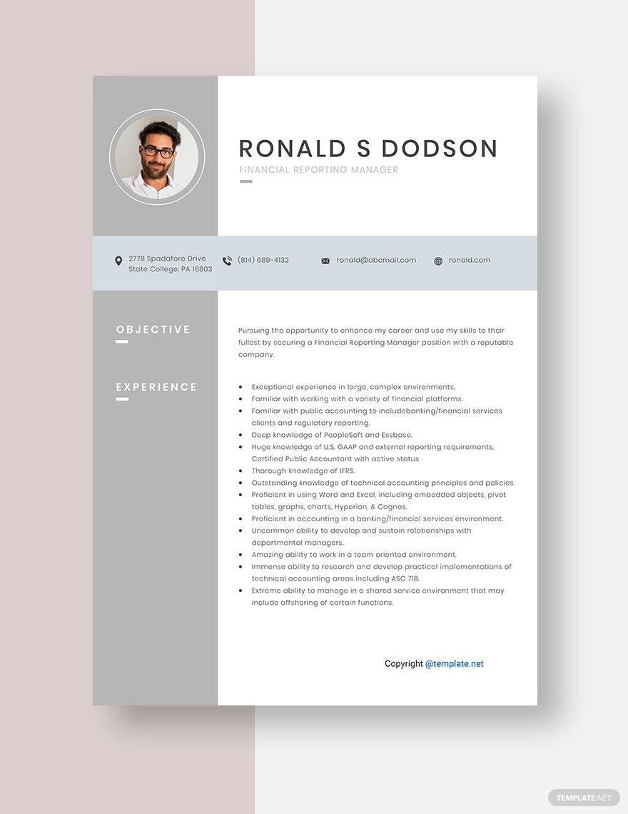 Financial Reporting Manager Resume Template