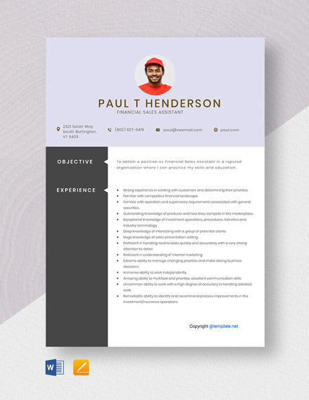 FREE Professional Resume Template - Download in Word, Google Docs, PDF ...