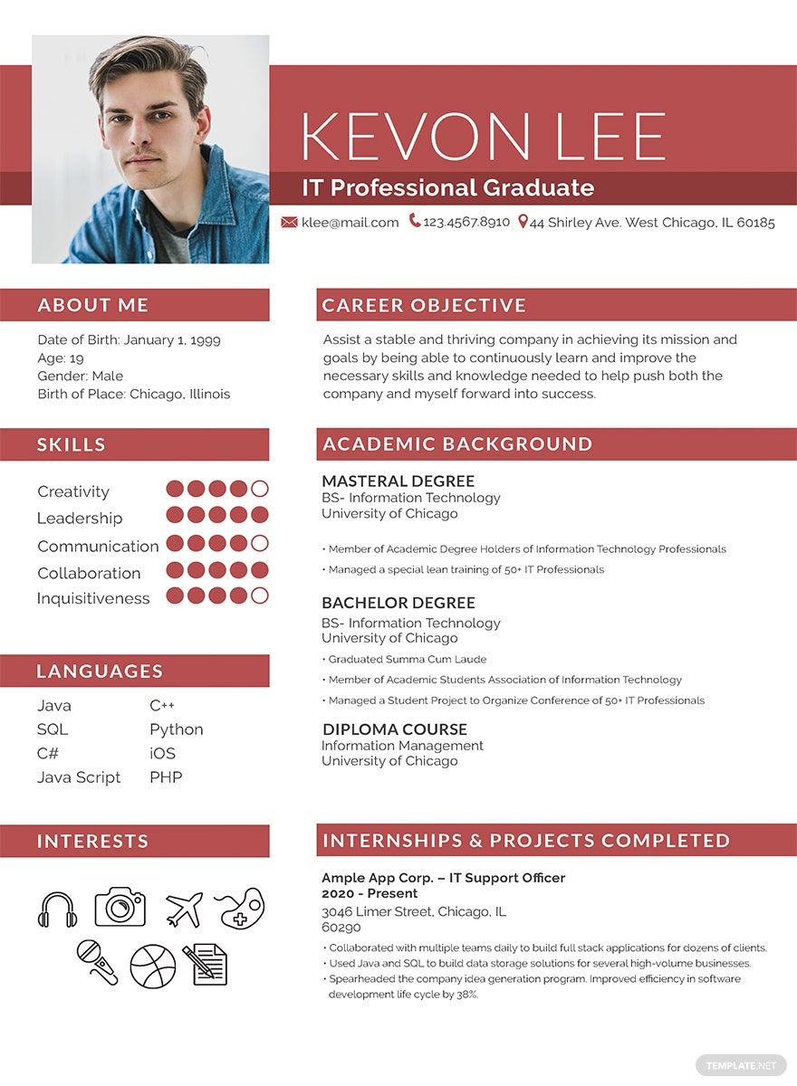 Professional Resume for Freshers Template