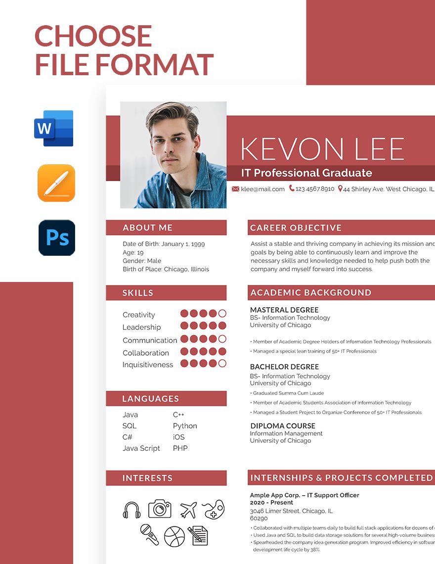 Professional Resume for Freshers