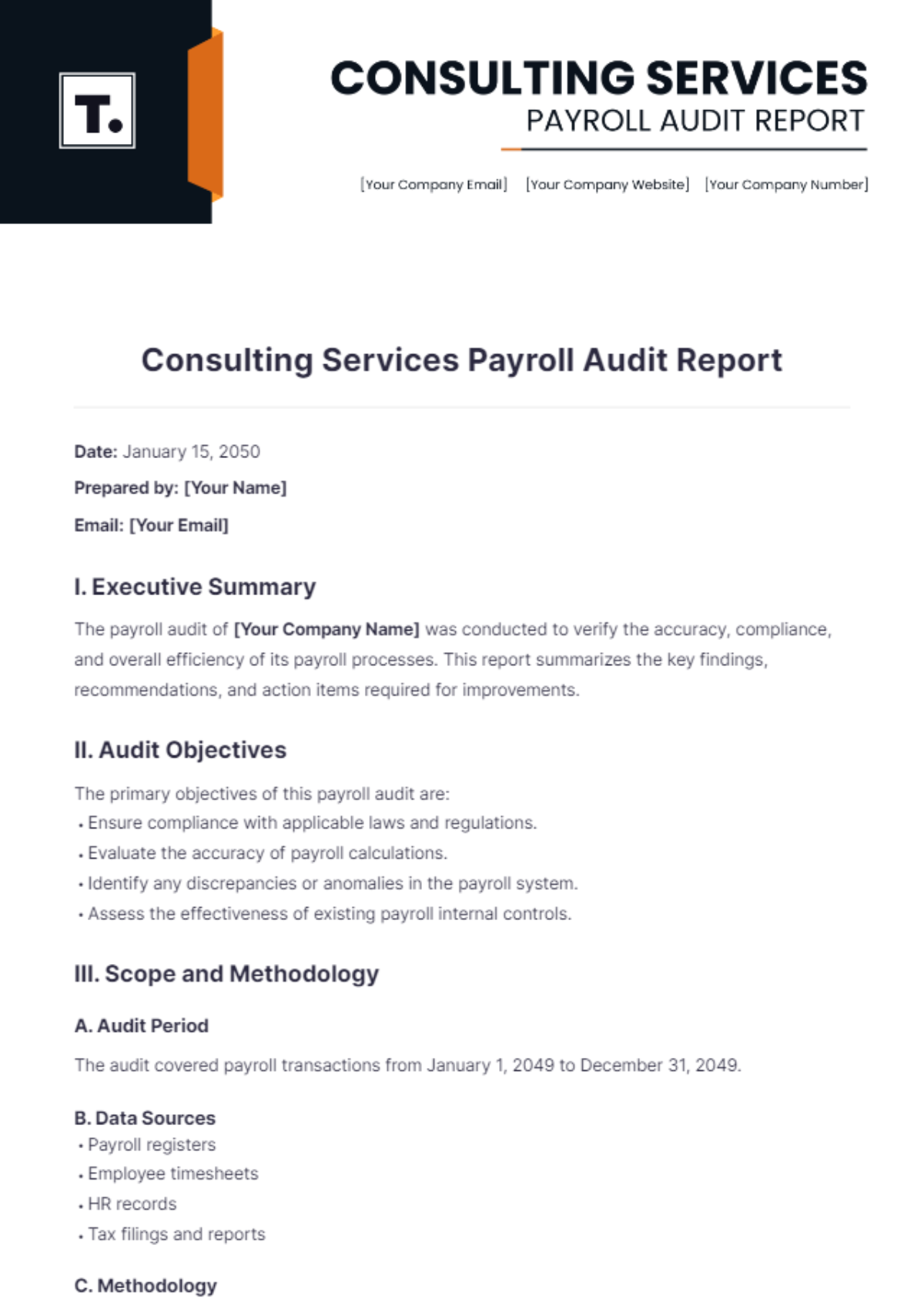 Consulting Services Payroll Audit Report Template - Edit Online & Download