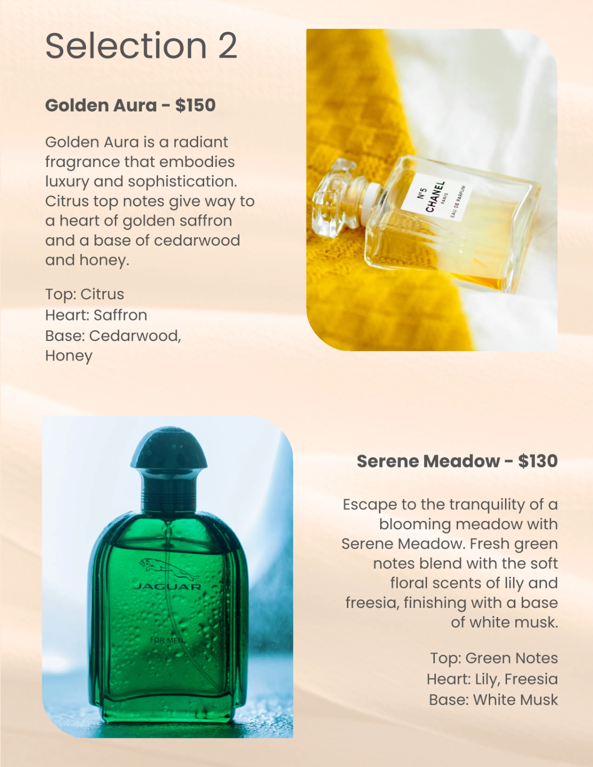Free Perfume Catalog Template to Edit Online