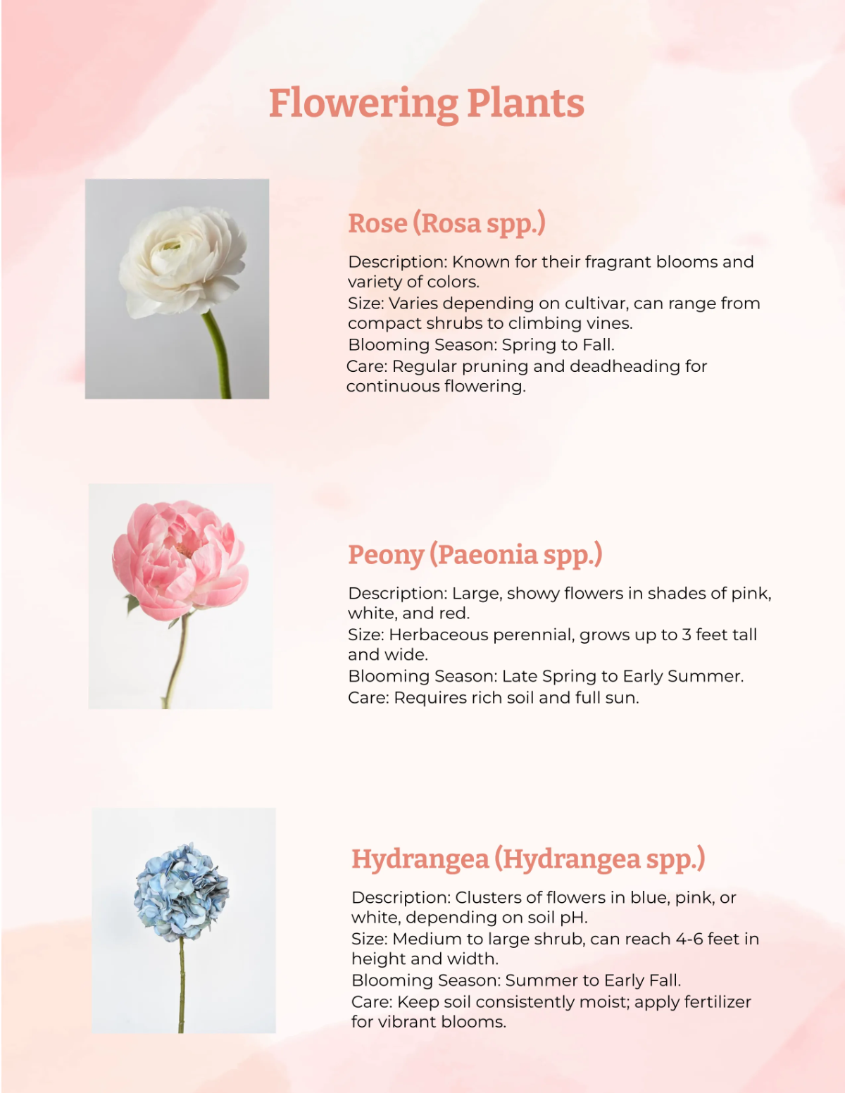 Free Ornamentals Catalog Template to Edit Online