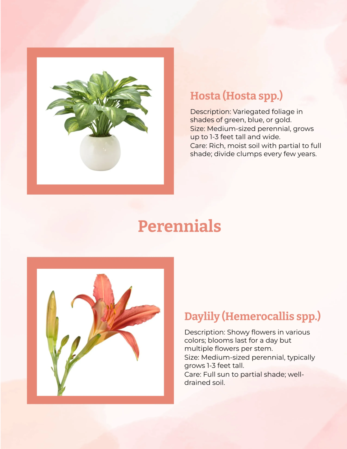 Free Ornamentals Catalog Template to Edit Online