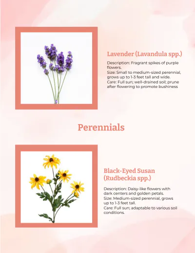 Free Ornamentals Catalog to Edit Online