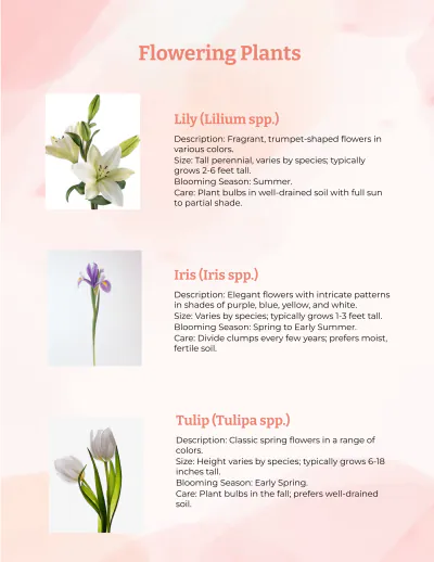Free Ornamentals Catalog to Edit Online