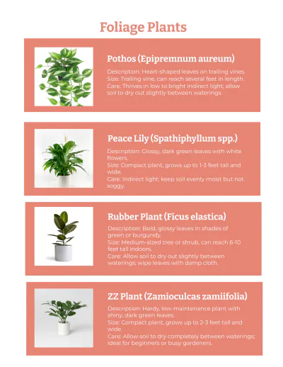 Free Ornamentals Catalog to Edit Online