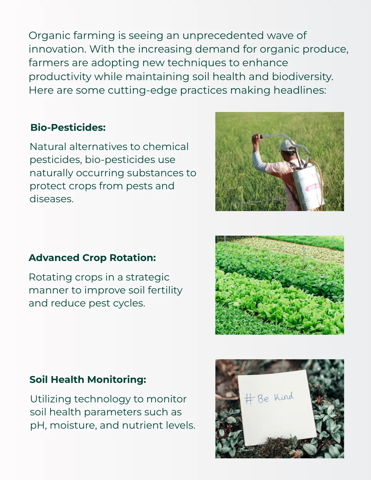 Free Farm Magazine Template to Edit Online