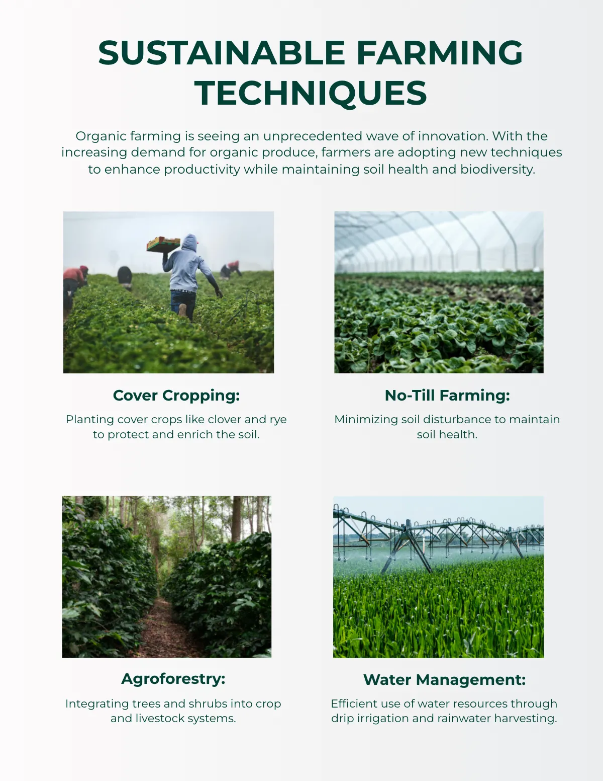 Free Farm Magazine Template to Edit Online