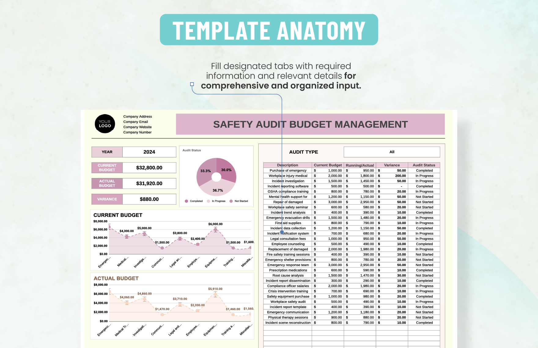 Safety Audit Budget Management Template