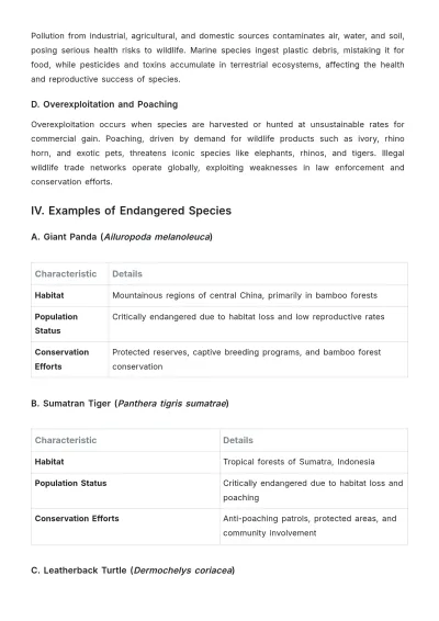 Free 4th Grade Research Report Template to Edit Online