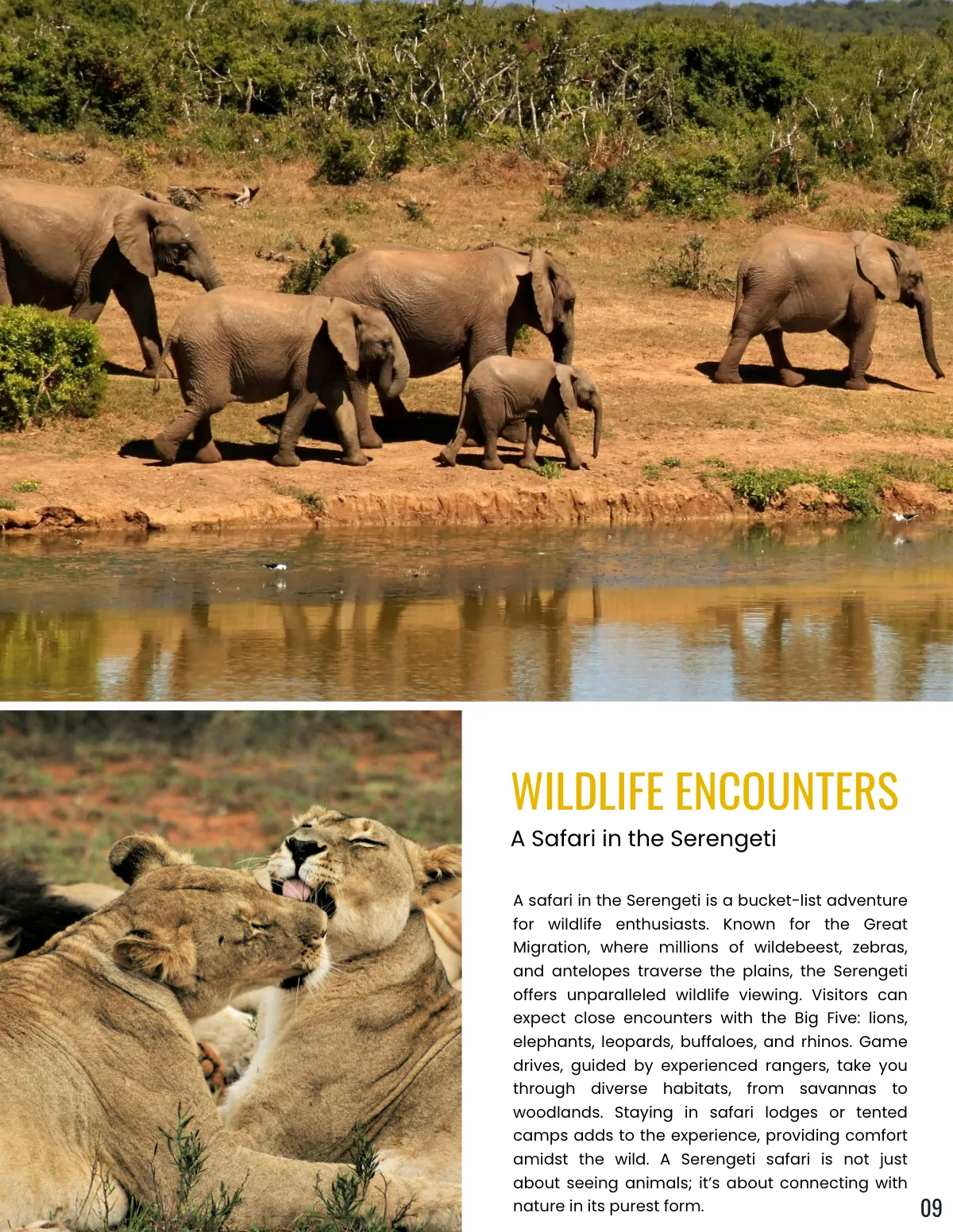 Free Adventure Magazine Template to Edit Online