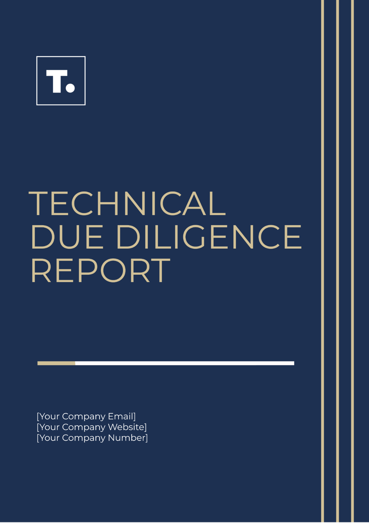 Technical Due Diligence Report Template