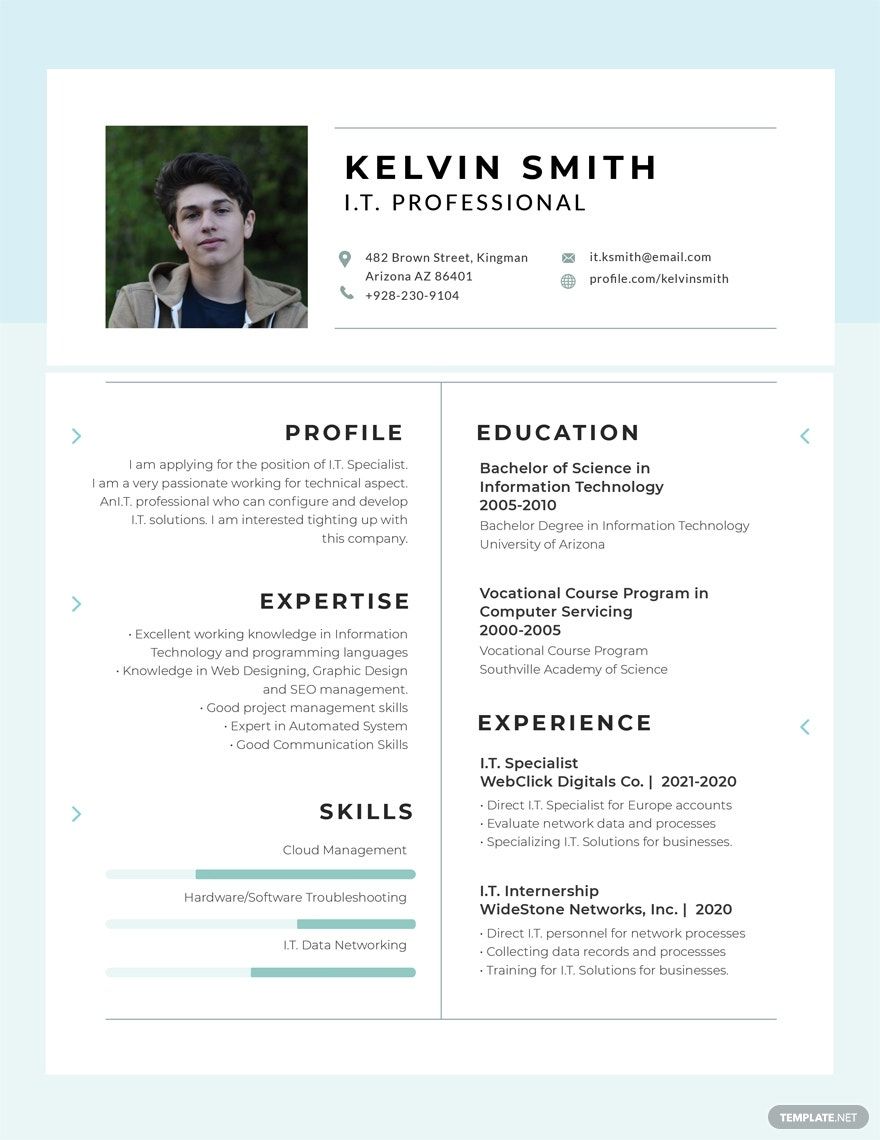 IT Professional Experience Resume Template