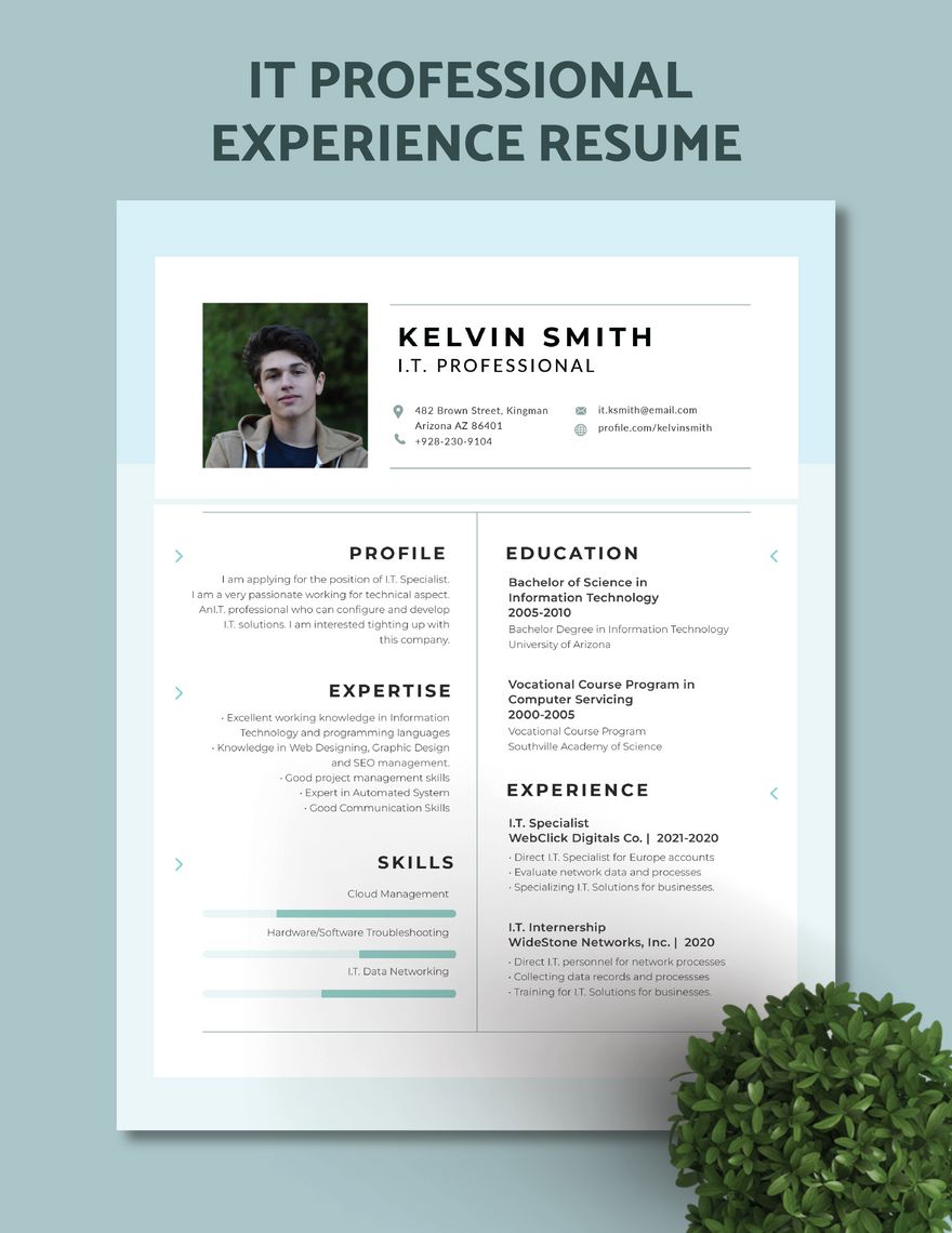 Free IT Professional Experience Resume