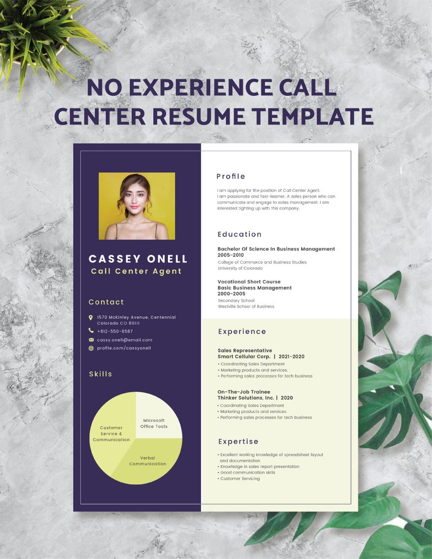 No Experience Call Center Resume