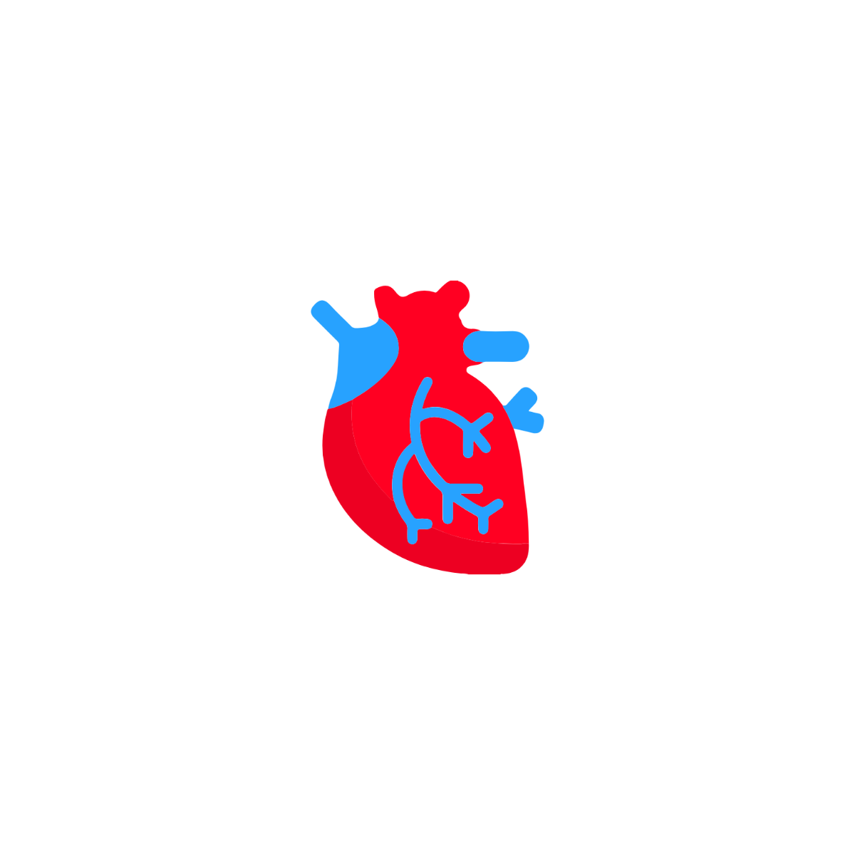 Human Heart Icon