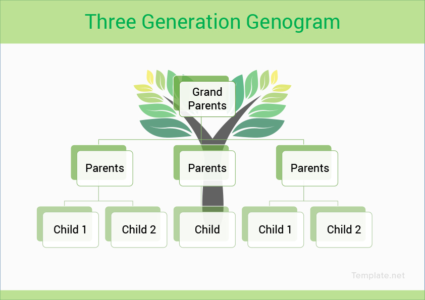 3 Generation Genogram Template in Microsoft Word, PDF