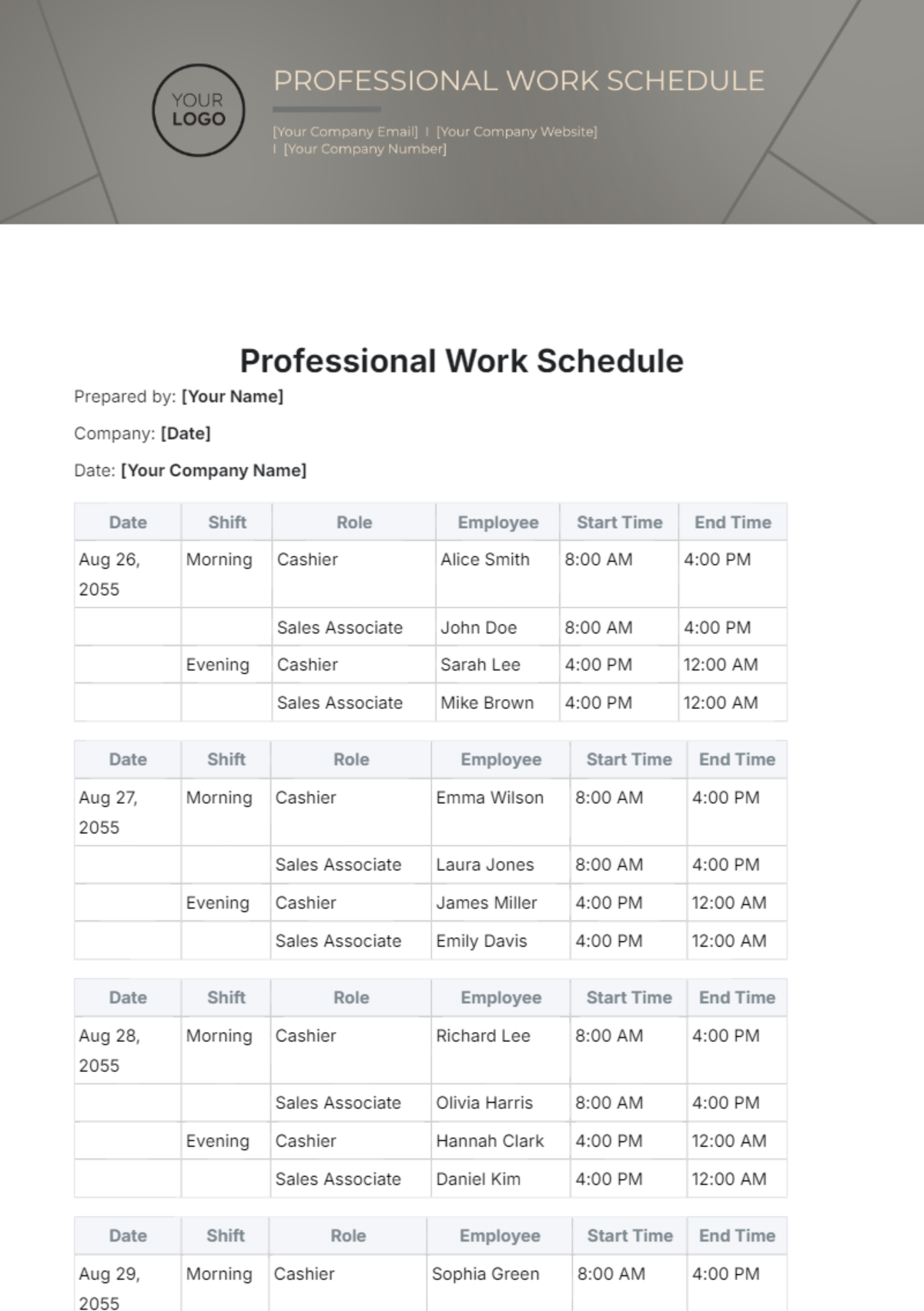 Professional Work Schedule Template - Edit Online & Download