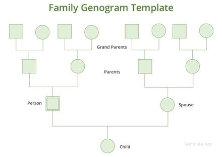 Basic Genogram Template: Download 38  Family Trees in Word PDF Pages