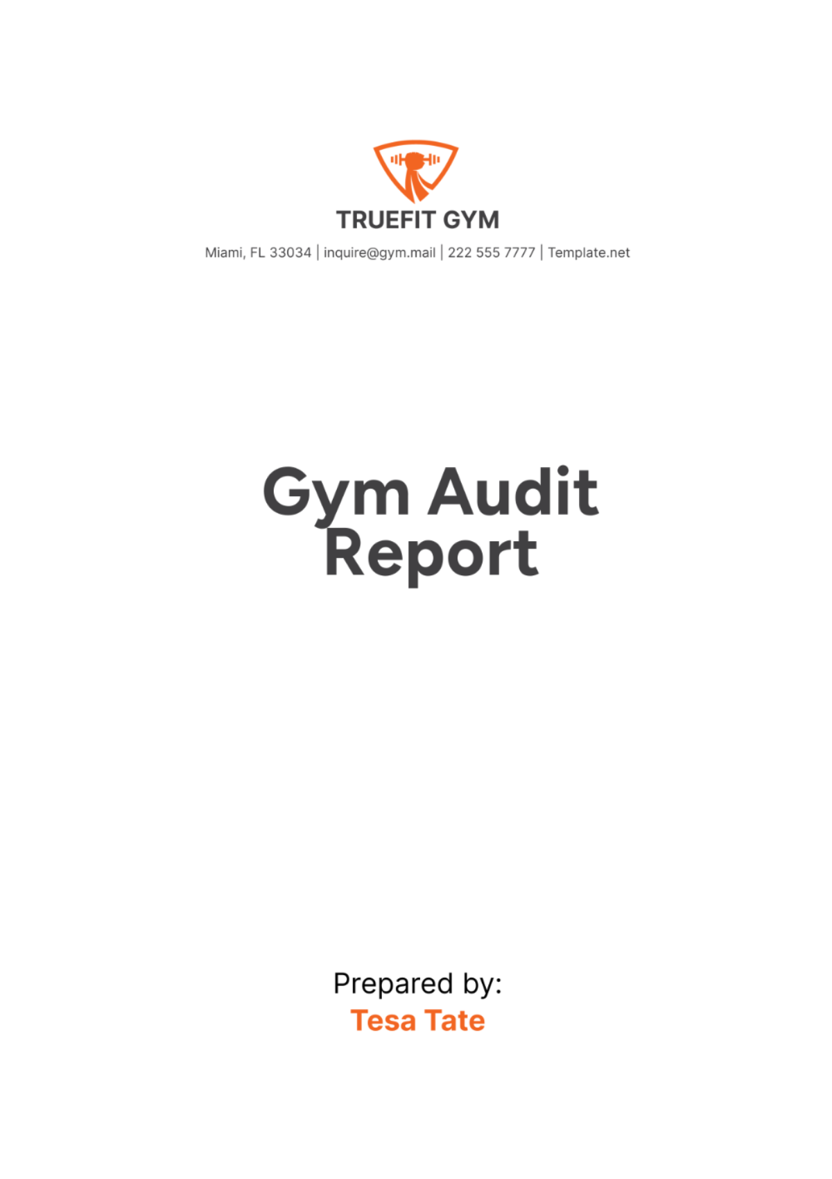 Free Gym Audit Report Template