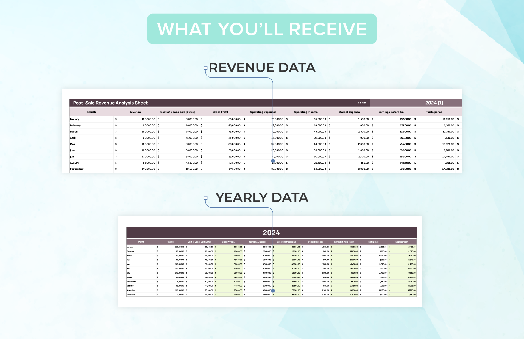 Startup Revenue Analysis Dashboard Template