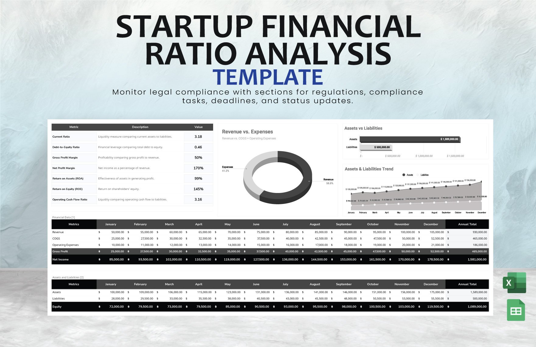 Startup Financial Ratio Analysis Template in Excel, Google Sheets
