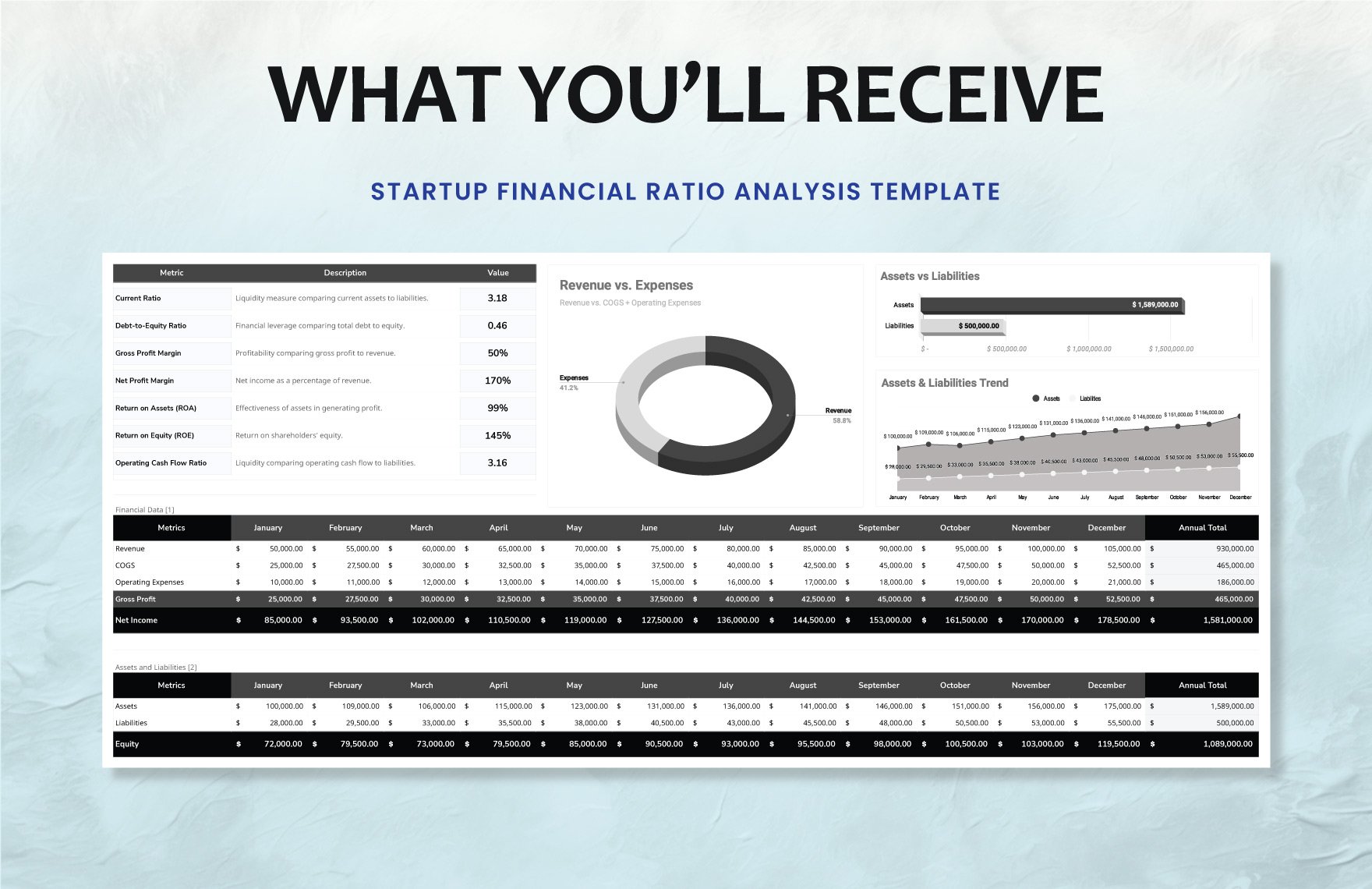 Startup Financial Ratio Analysis Template